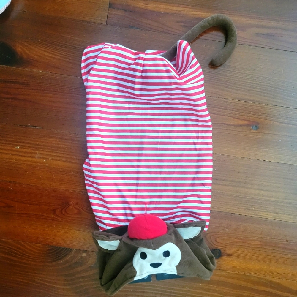 Monkey Dog Costume